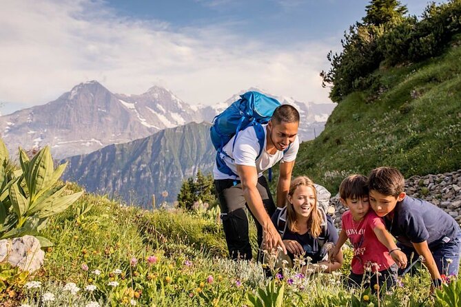 Schynige Platte Admission - Botanical Alpine Garden Exploration