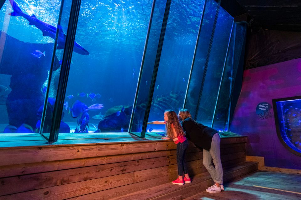 Sea Life Hunstanton - Facilities for Disabled Guests