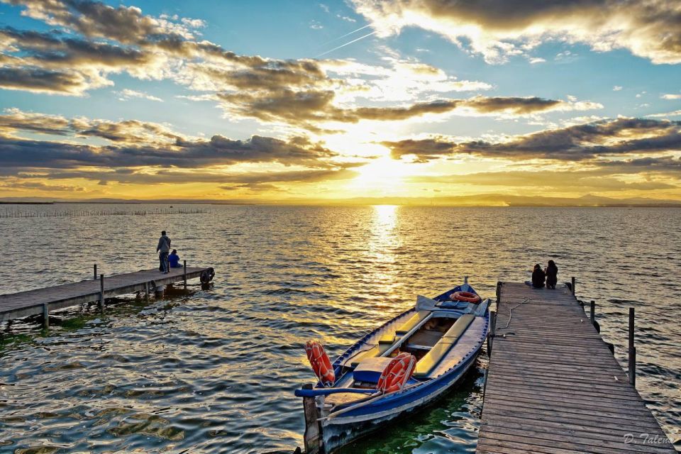 See Albufera Lake +City of Arts and Sciences on a Bike Tour - Discovering the City of Arts