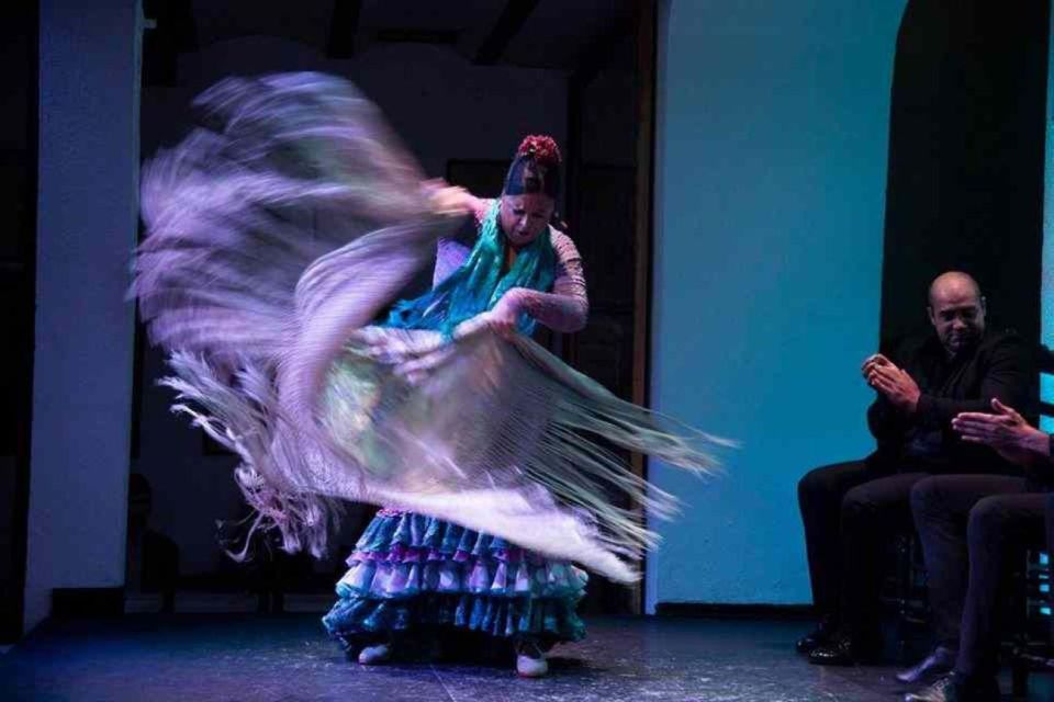 Seville: Tapas Dinner and Flamenco Show - Traveler Reviews and Ratings