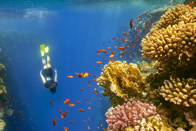 Sharm El Sheikh: Colored Canyon, Blue Hole & Dahab City Tour - Blue Hole Snorkeling