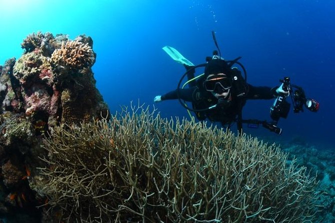 Shore Certified Diving - Two Dives - Dive Sites