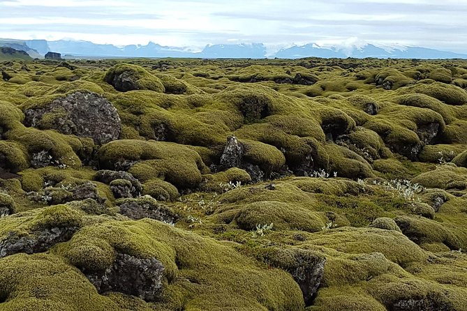 Small Group Day Tour to Lakagigar Volcano by Super Jeep From Klaustur - Visiting Lakagigar Craters