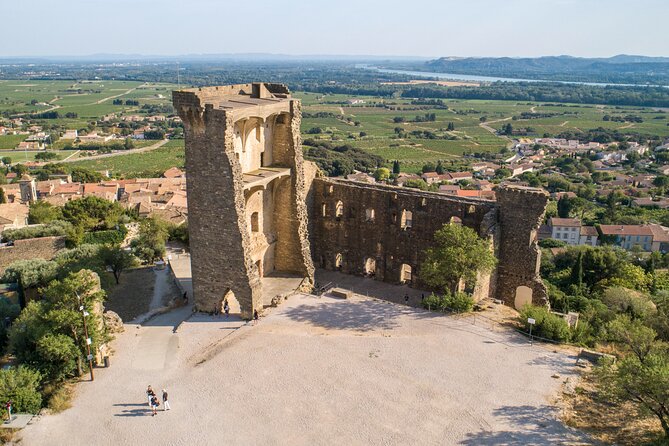 Small Group Marseille Shore Excursion : Avignon & Chateauneuf Du Pape Wine Tour - Departures, Duration, and Group Size