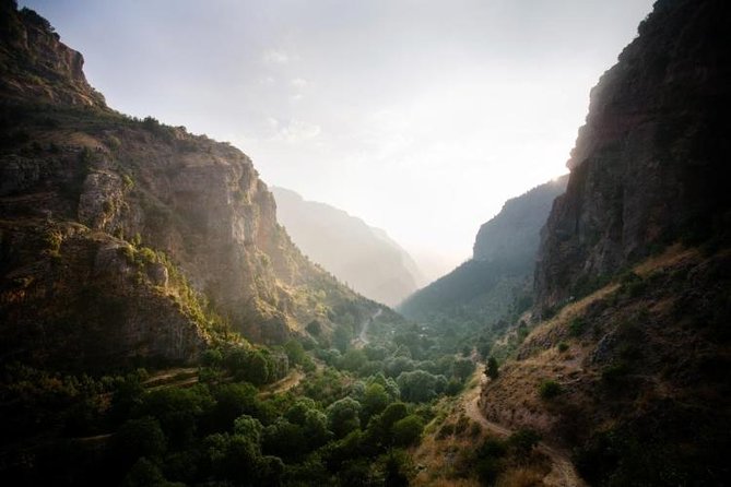 Small-Group Tour With Lunch to Qadisha Valley, Bcharre and Cedars - Visit Cedars of God