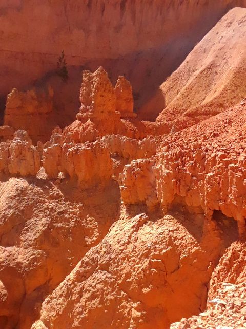 Small Group Tour Zion & Bryce Canyon National From Las Vegas - Restrictions and Requirements