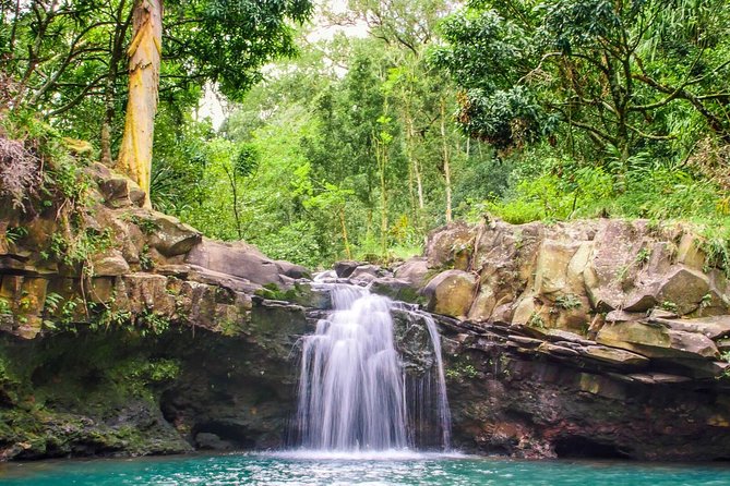 Small Group Waterfall and Rainforest Hiking Adventure on Maui - Exploring Mauis Lush Rainforests