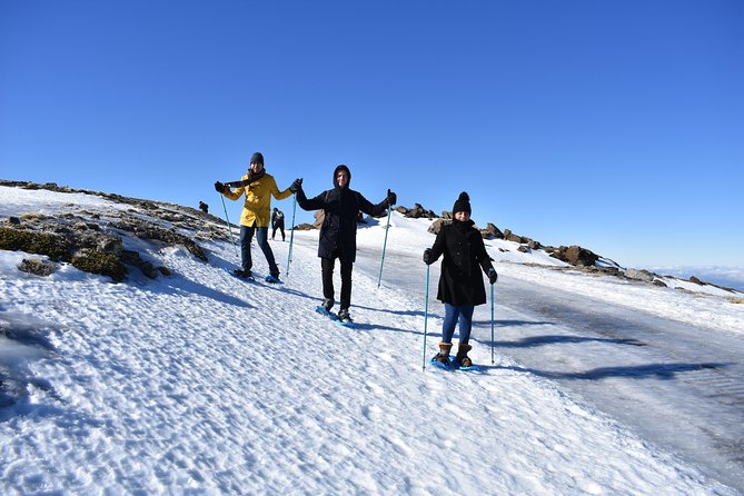 Snowshoe Hiking in the Sierra Nevada (Granada) - Transportation and Equipment