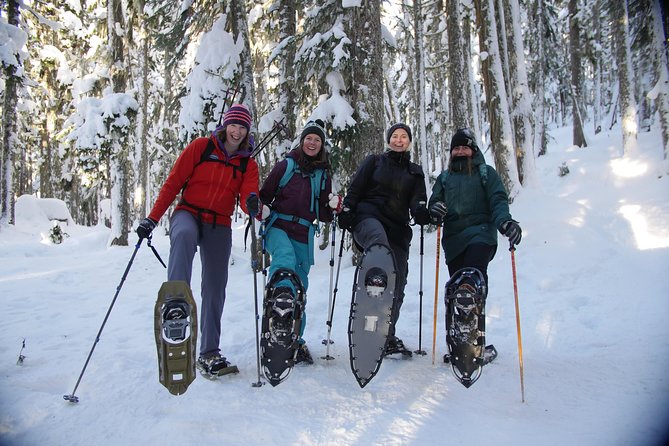 Snowshoe Tours - Wilderness Exploration