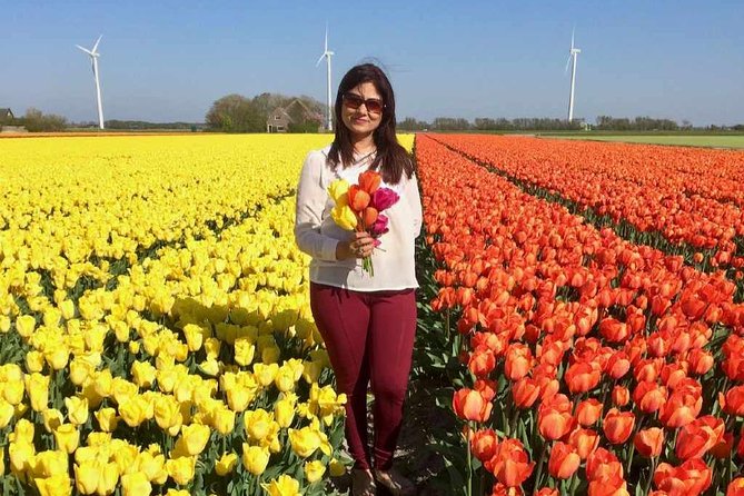 Springtime Private Tour to Keukenhof, Tulip Fields and Windmills - Guide Expertise