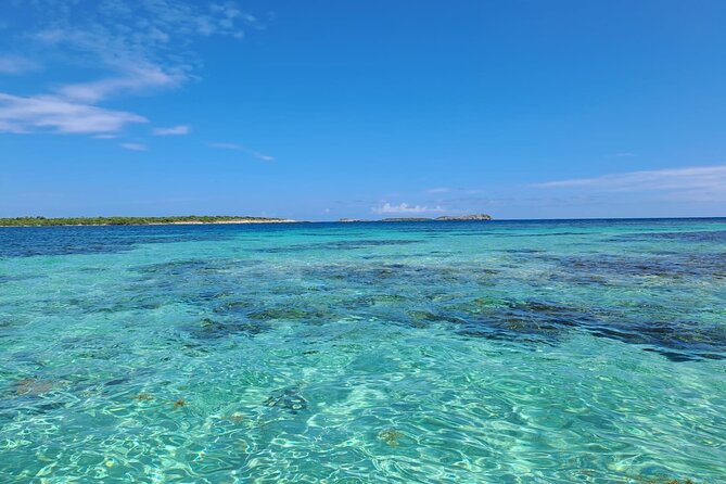 Stingray City Experience Antigua - ONLY TICKET - Booking and Availability