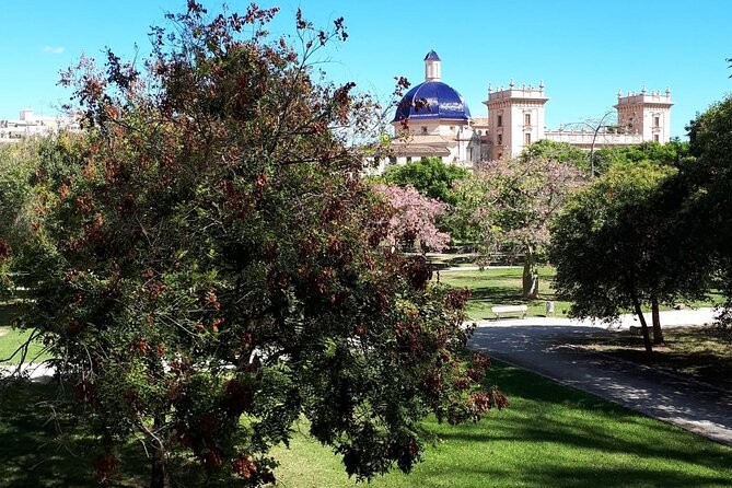 STREET ART | Group Guided Tour on City Bike - Explore Turia Garden