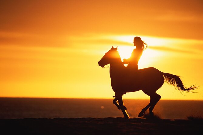 Sunset Beach Horseback Riding - Friendly Guides