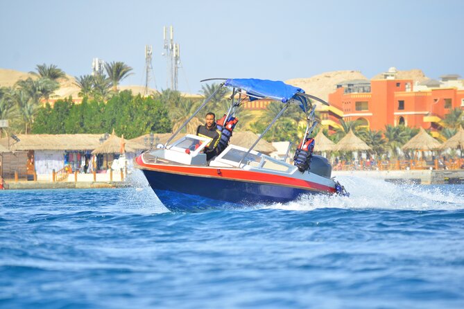 Swimming With Dolphins by Private Speed Boat - Hurghada - Activity Highlights