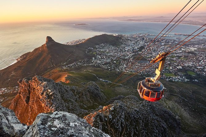 Table Mountain, Penguins Colony and Cape of Good Hope Small Group Shared Tour - Highlights: Boulders Beach Penguins