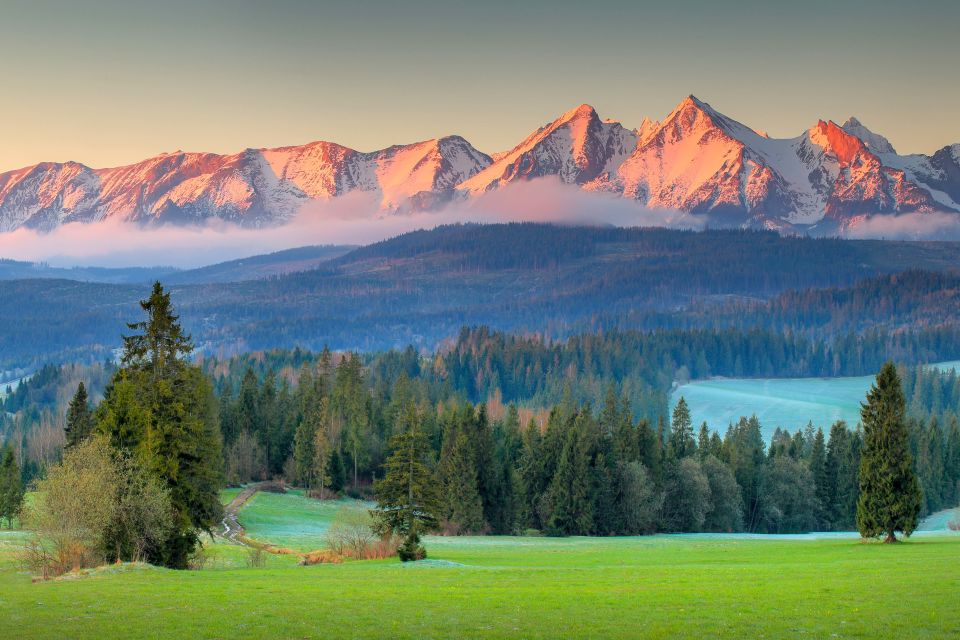 Tatra Mountains and Zakopane Full-Day Trip From Krakow - Customer Reviews and Feedback