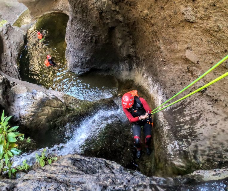 Tenerife: Guided Canyoning Experience - Customer Reviews