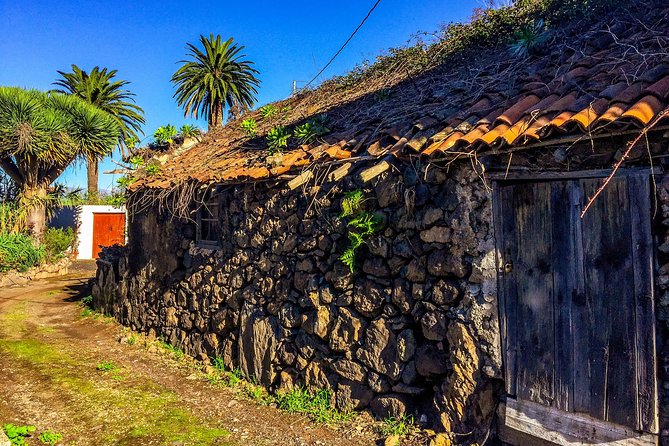 Tenerife North Private Tour: Through Villages and Ports - Exploring Northern Tenerifes Attractions