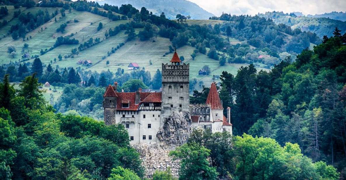 Three Castles in Transylvania Day Trip From Bucharest - Customer Feedback