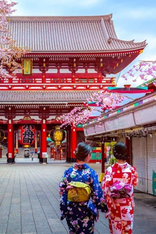 Tokyo: Full Day Private Walking Tour With a Guide - Tour Highlights