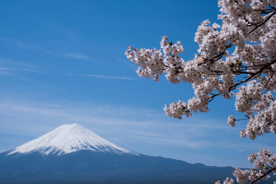 Tokyo: Mt. Fuji Day Trip for Couples With Pick&Drop Service - Languages Offered