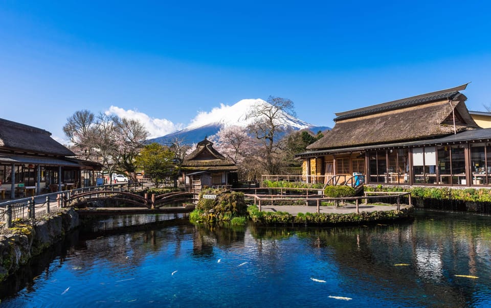 Tokyo: MT FUJI & HAKONE Private Sightseeing Tour - Chureito Pagoda