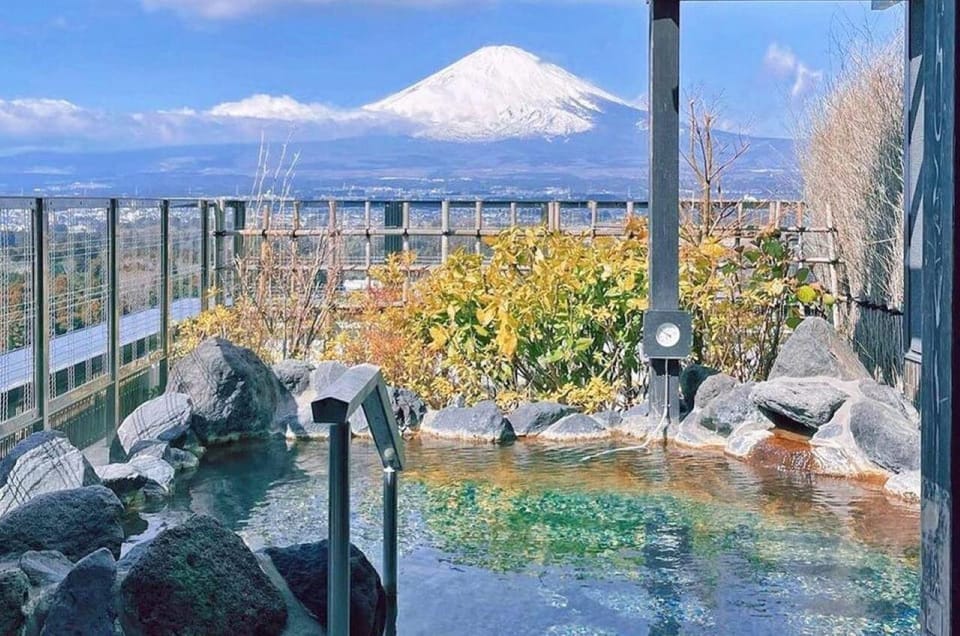 Tokyo Mt.Fuji Hakone Ropeway, and Oshino Hakkai Day Tour - Important Information