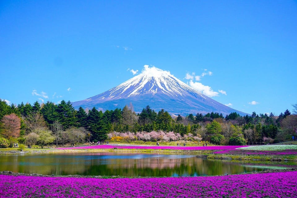 Tokyo: Mt. Fuji & Hakone Tour With English Speaking Driver. - Recommended Attire and Backpack