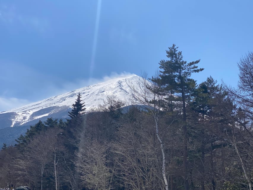 Tokyo: Private Day Trip to Mt. Fuji With Custom Itinerary - Preparation and Recommendations