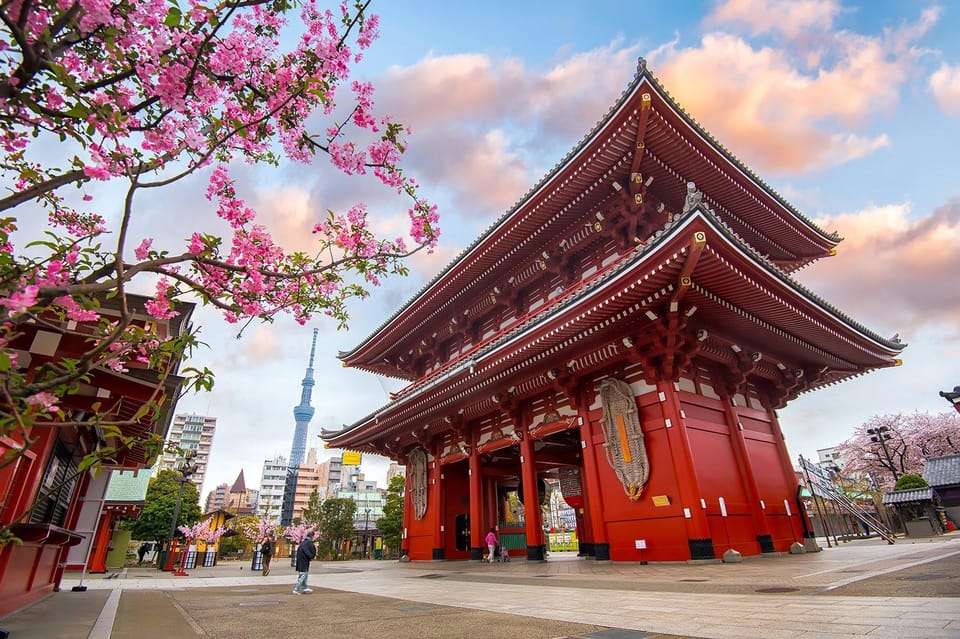 Tokyo Private Sightseeing Tour W/English Speaking Driver - Senso-ji Temple