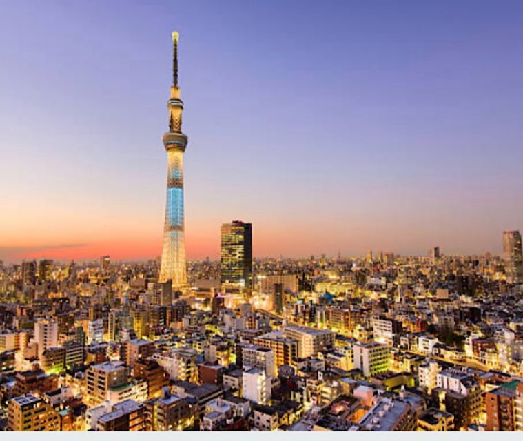 Tokyo Private Tour: Customizable (Up-To 6 Persons) - Customer Feedback