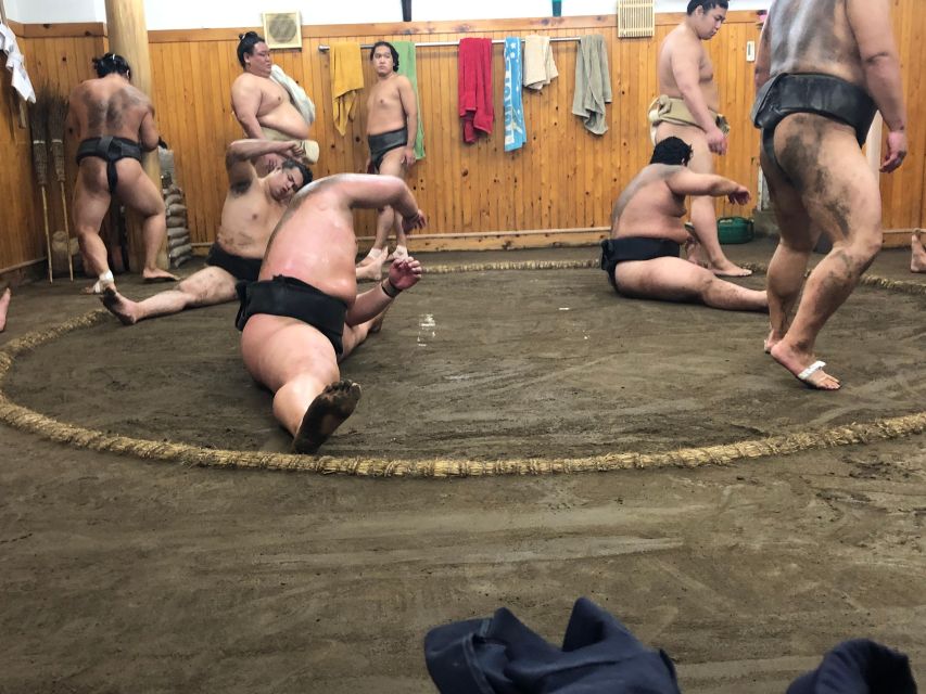 Tokyo Real Sumo Morning Practice Tour Review - Customer Feedback