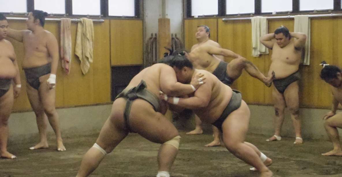 Tokyo: Sumo Morning Practice Viewing Tour - Customer Reviews and Ratings