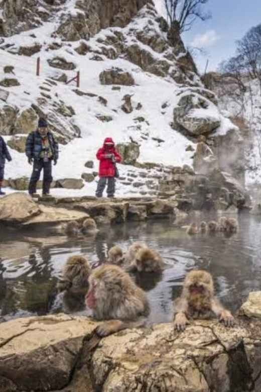 Tokyo To Nagano (Snow Monkey Zenkoji Temple Private Tour) - Frequently Asked Questions