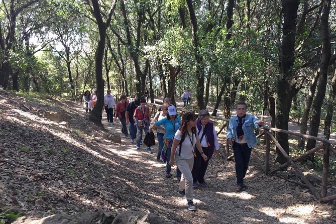 Tour in the Ruins of Cuma With an Archaeologist. - Discover the Ruins