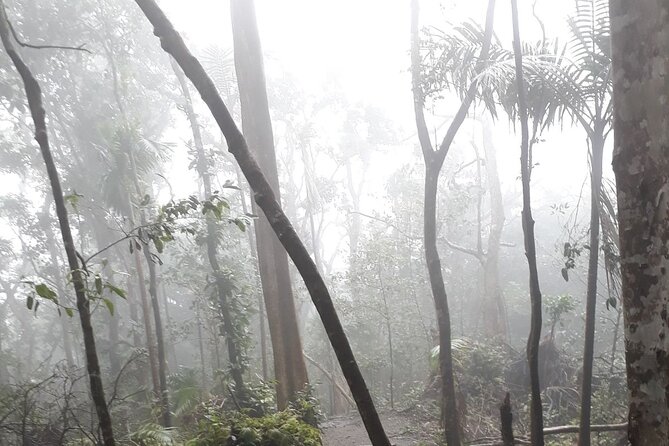 Trekking Mt. Liamuiga Volcano (Full-Day Guided ) - Cancellation Policy