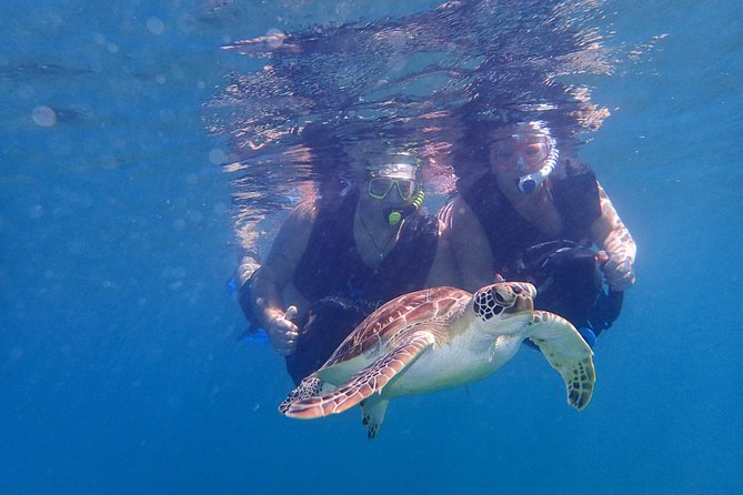 Turtle Beach Power Snorkeling Adventure - Safety Precautions