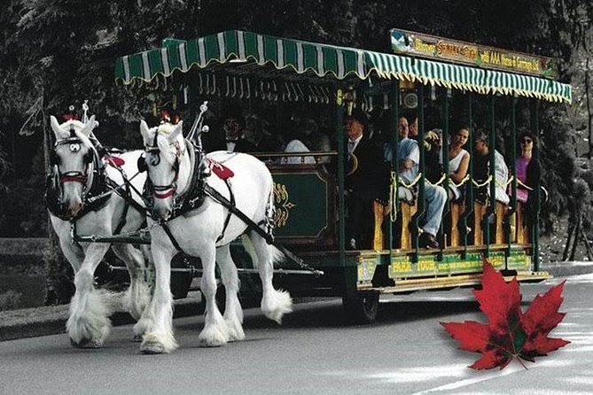 Vancouver City Sightseeing -Kids Special Tour Private - Highlights: Totem Poles