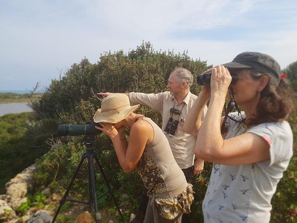 Vendicari - Sicilys Best Coast Nature Reserve ( Birdwatching & Archeology ) - Visiting the Tuna Museum