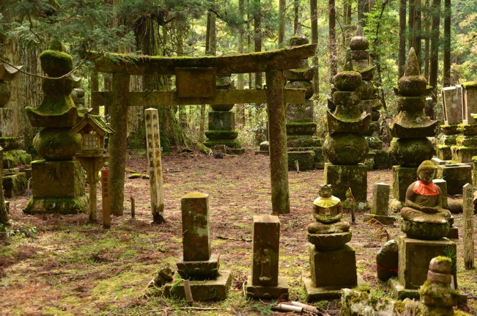 Wakayama: Mt. Koya Private Walking Tour With Local Guide - Important Details