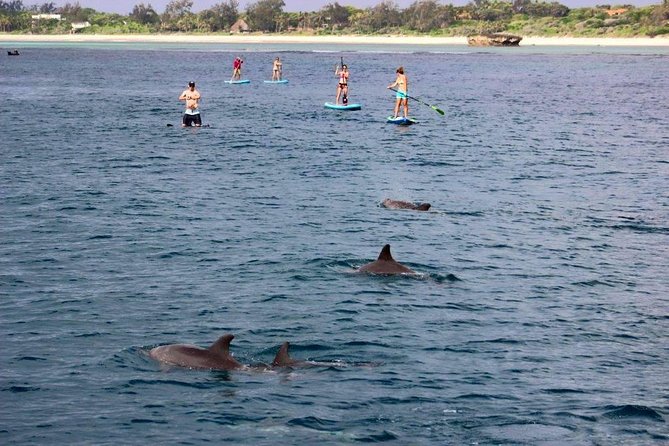 Watamu Marine Park & Sudi Island Mangrove Forest Canoe Ride.With Sea Food Lunch - Fees and Taxes Included