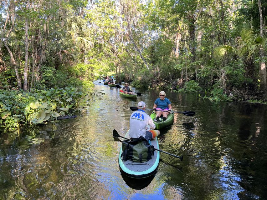 Wekiva Wildlife Kayaking Adventure Tour - What to Bring and Prepare