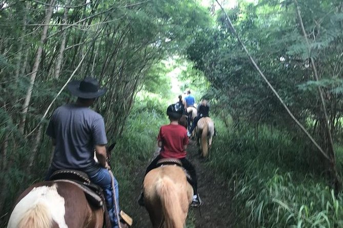 West Maui Mountain Waterfall and Ocean Tour via Horseback - Customer Feedback