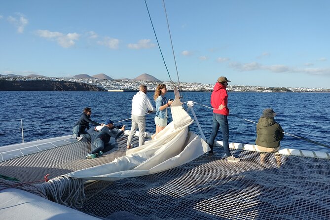 Whale & Dolphin Observation on Silent Catamaran With Hydrophone - Pricing and Cancellation