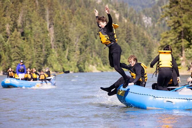 Whitewater Rafting in Jackson Hole: Small Boat Excitement - Traveler Experiences and Ratings