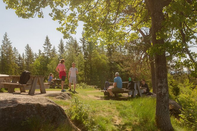 Wildlife Forest Hike - Explore the Forest Trails