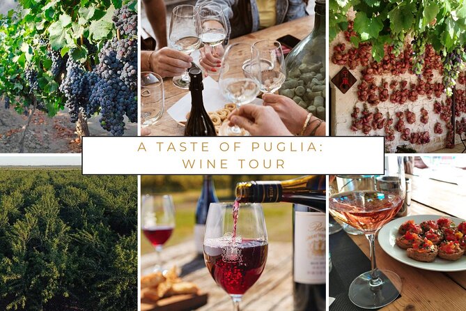 Wine Tasting Experience in the Apulian Countryside - Pricing and Booking