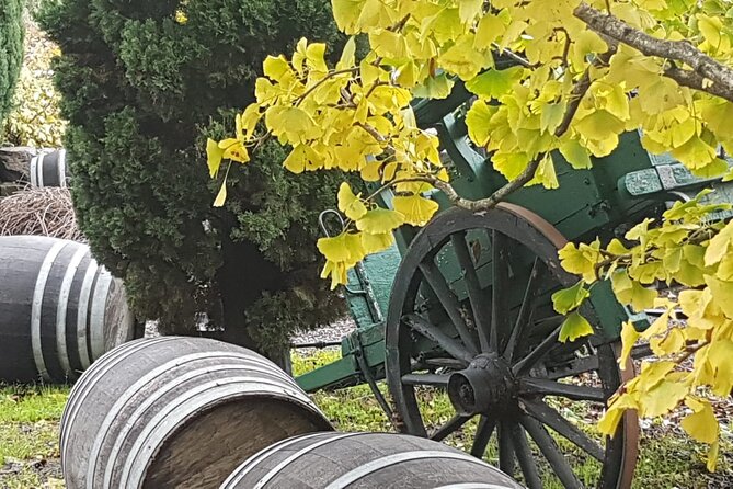 Wine Tasting in Frascati From Rome - Confirmation and Accessibility Information