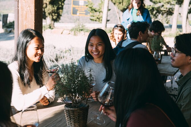 Wineries Tour and Wine Tastings in Chianti Hills From Florence - Half-Day Tour From Florence