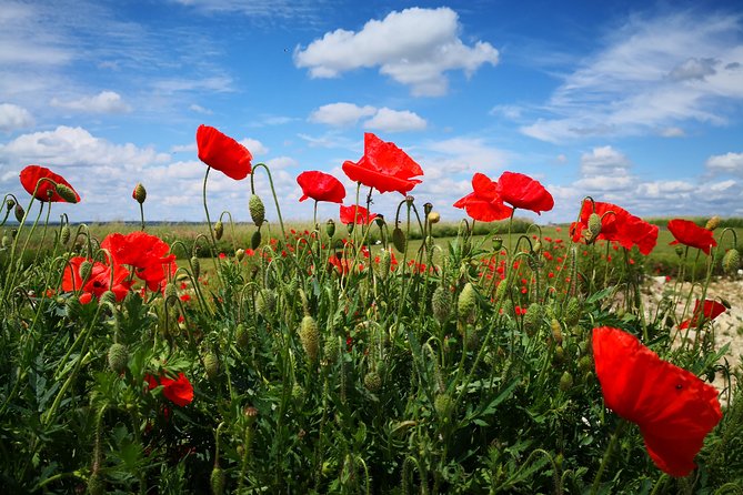 WW1 Australians in the Somme -Villers Bretonneux, Le Hamel - Day Trip From Paris - Personal Tour Experience